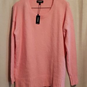 NWT Express oversized sweater
